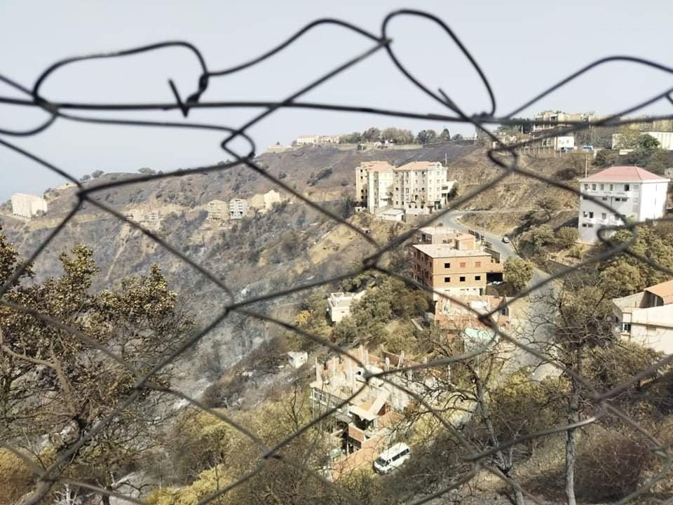 Incendies ravageurs en Algérie